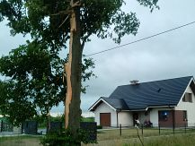 Wiatr zrywał dachy i powalał drzewa. Tragiczne skutki nawałnicy.