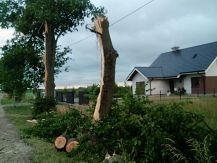 Wiatr zrywał dachy i powalał drzewa. Tragiczne skutki nawałnicy.