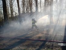 Pożar lasu w Truszkach