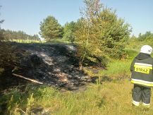 Pożar trawy w miejscowości Jakać Dworna