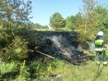 Pożar trawy w miejscowości Jakać Dworna