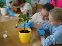 Projekt ekologiczny 