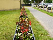 Projekt ekologiczny 