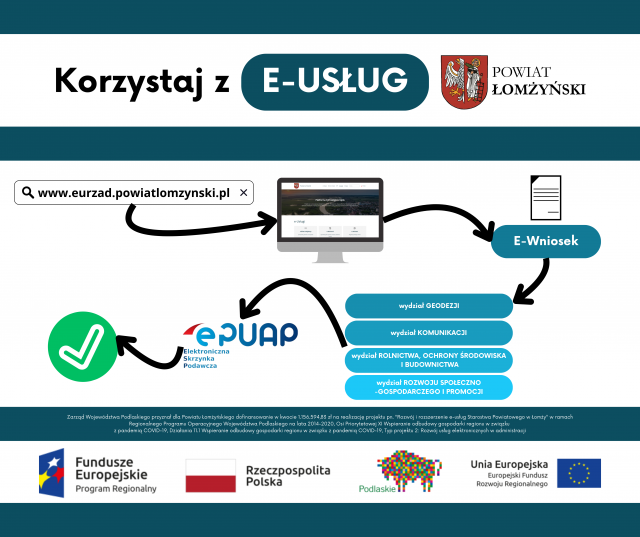 infografika_e-usługi.png